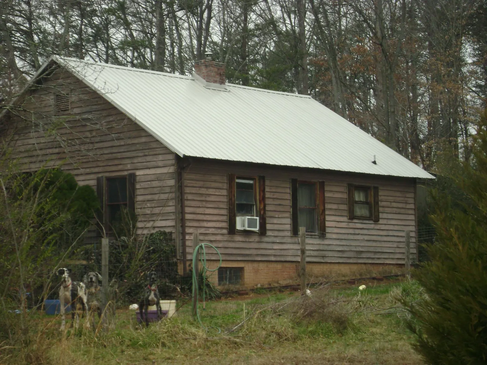 White metal roof on an old wood sided farmhouse, from a Asphalt Shingle Roof Repair job in Harrison